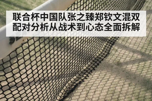 tennis net volley